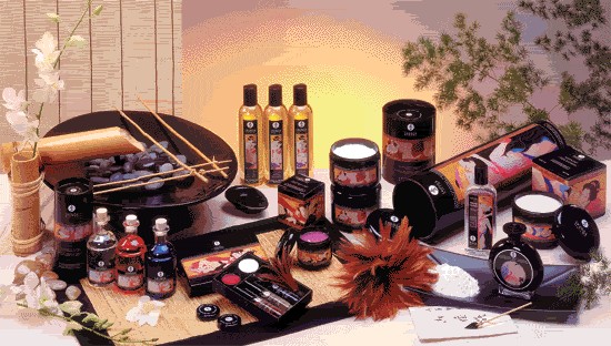 Shunga Intimate Moments Products